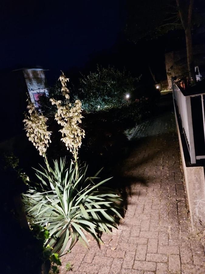 Bella Vista Apartman Tossignano Kültér fotó
