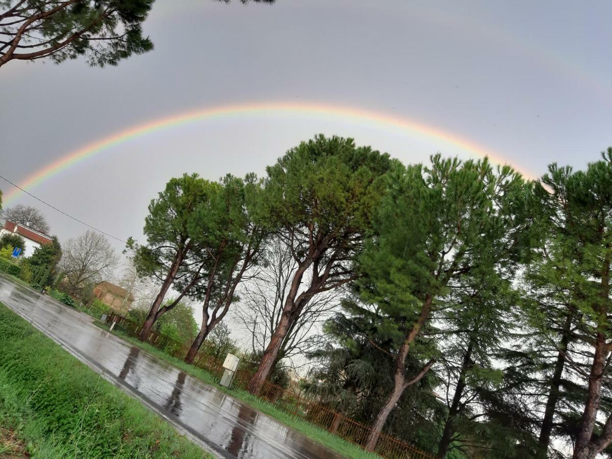 Bella Vista Apartman Tossignano Kültér fotó