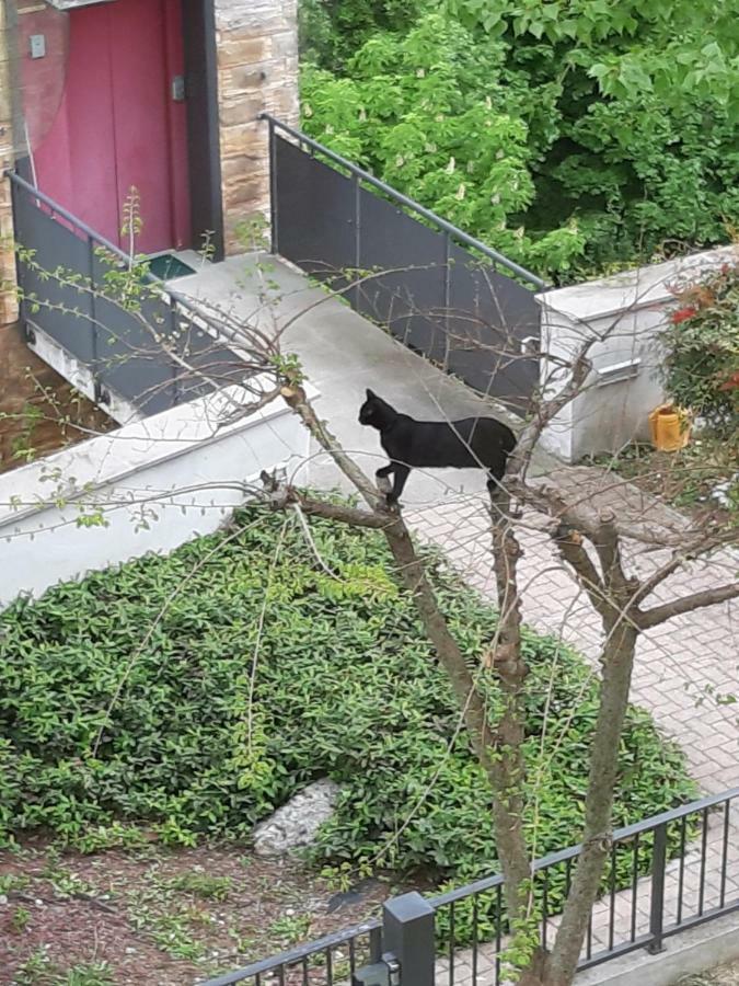 Bella Vista Apartman Tossignano Kültér fotó